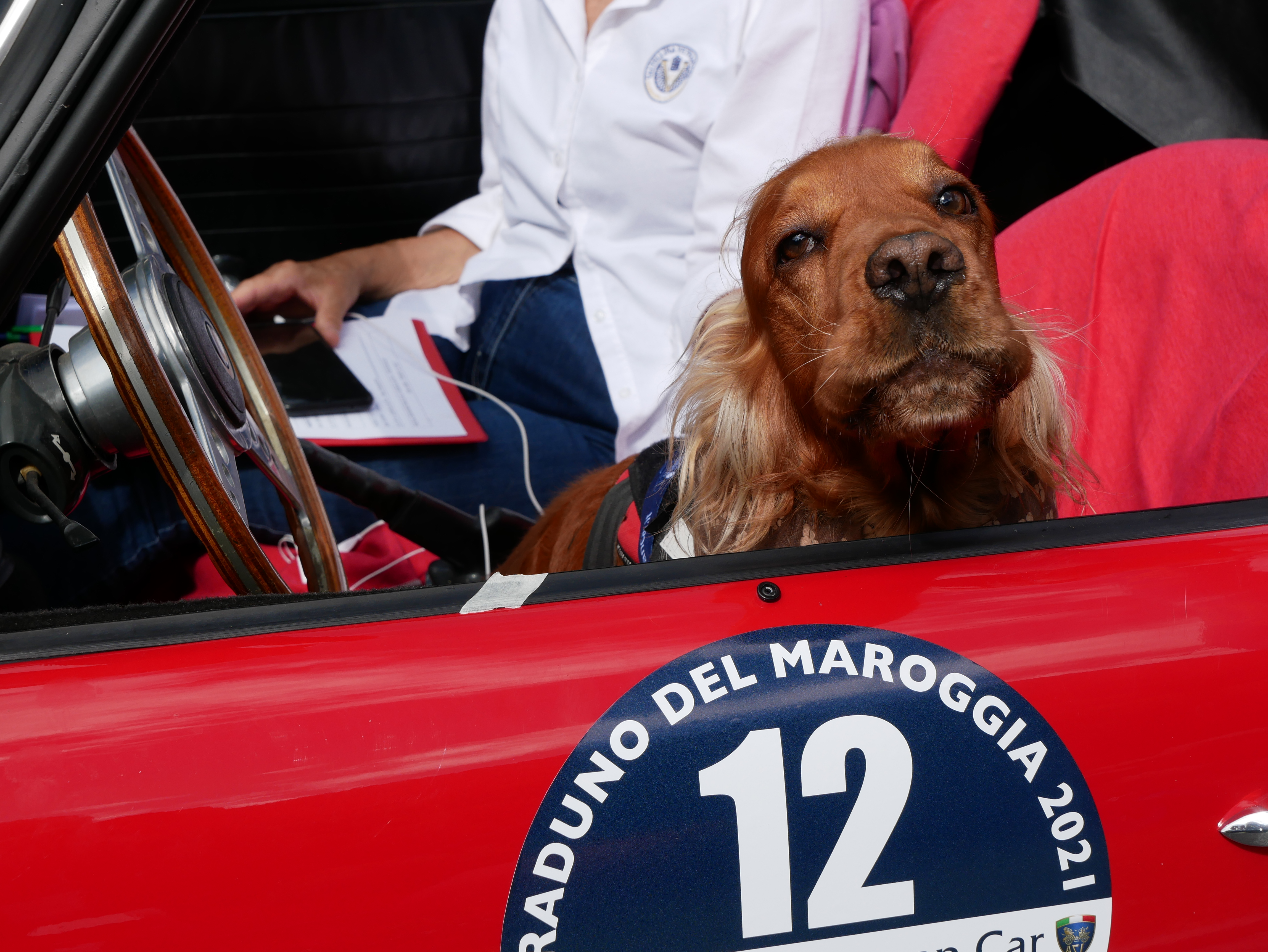 seduta di omologazione auto